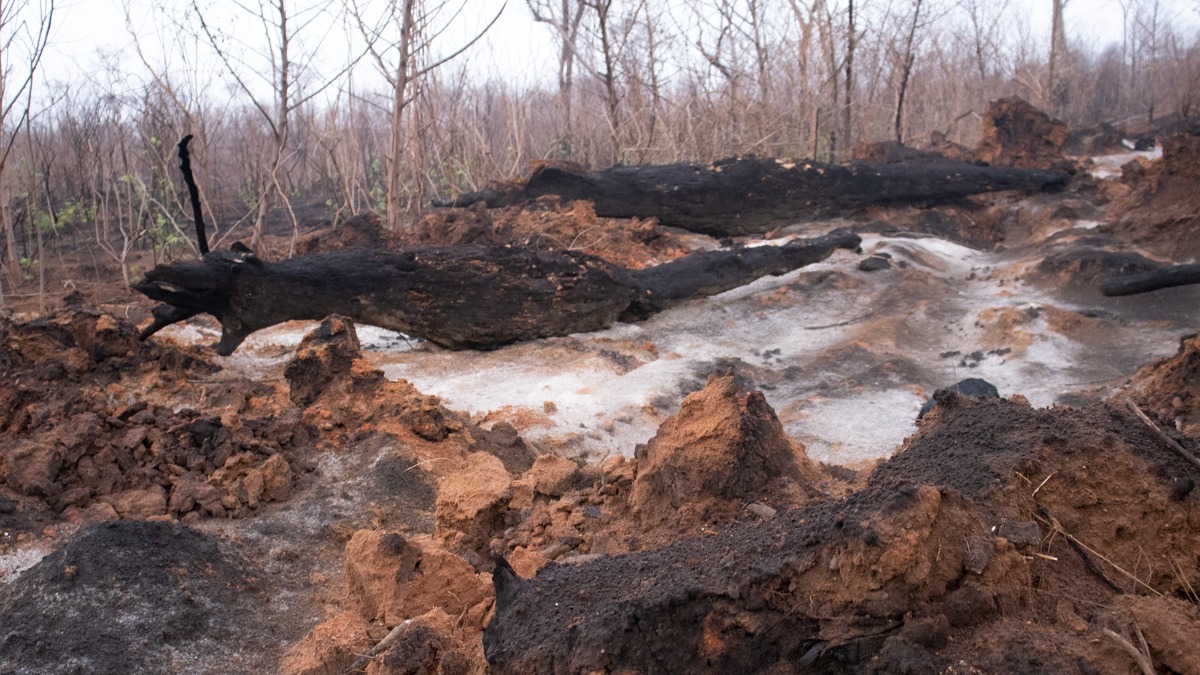 Municipio de San Rafael, tras los incendios. Foto: ANF