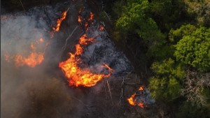 El 20,6 % de los territorios indígenas titulados fue impactado por los incendios de este año