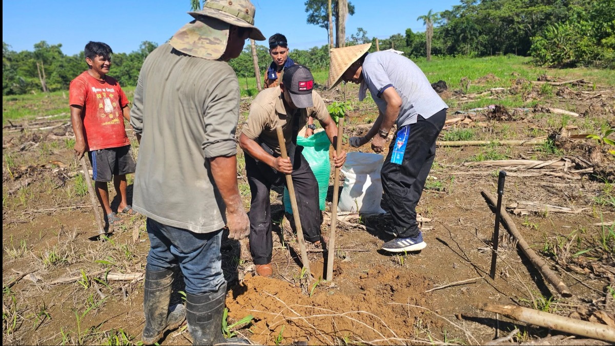 Evo Morales en la plantación de palta. Foto: RRSS