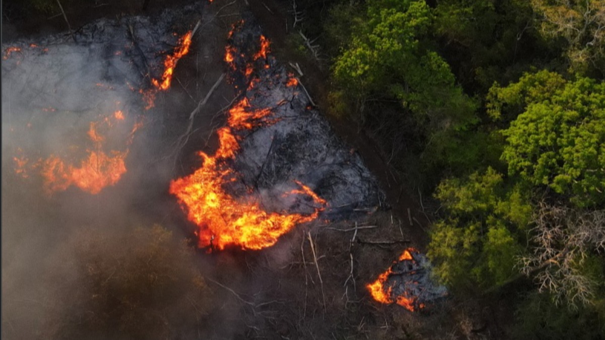 Los focos de incendios. Foto: Informe CEJIS