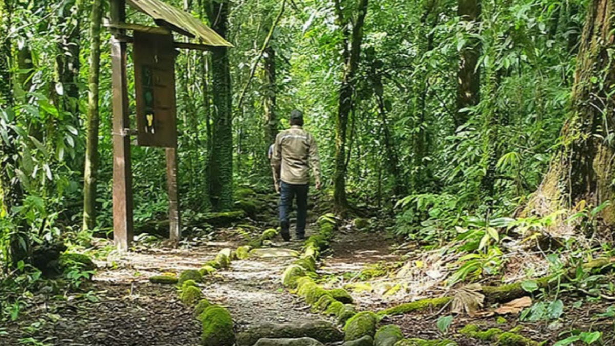 Un sendero por el Parque Carrasco donde se dificulta la elaboración de un verdadero plan de manejo. Foto:  Bolivia en tus manos