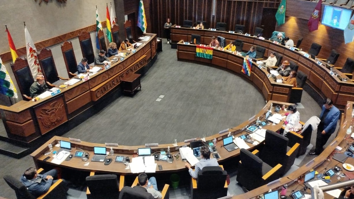 El pleno del Senado donde se aprobó la norma. Foto: ANF