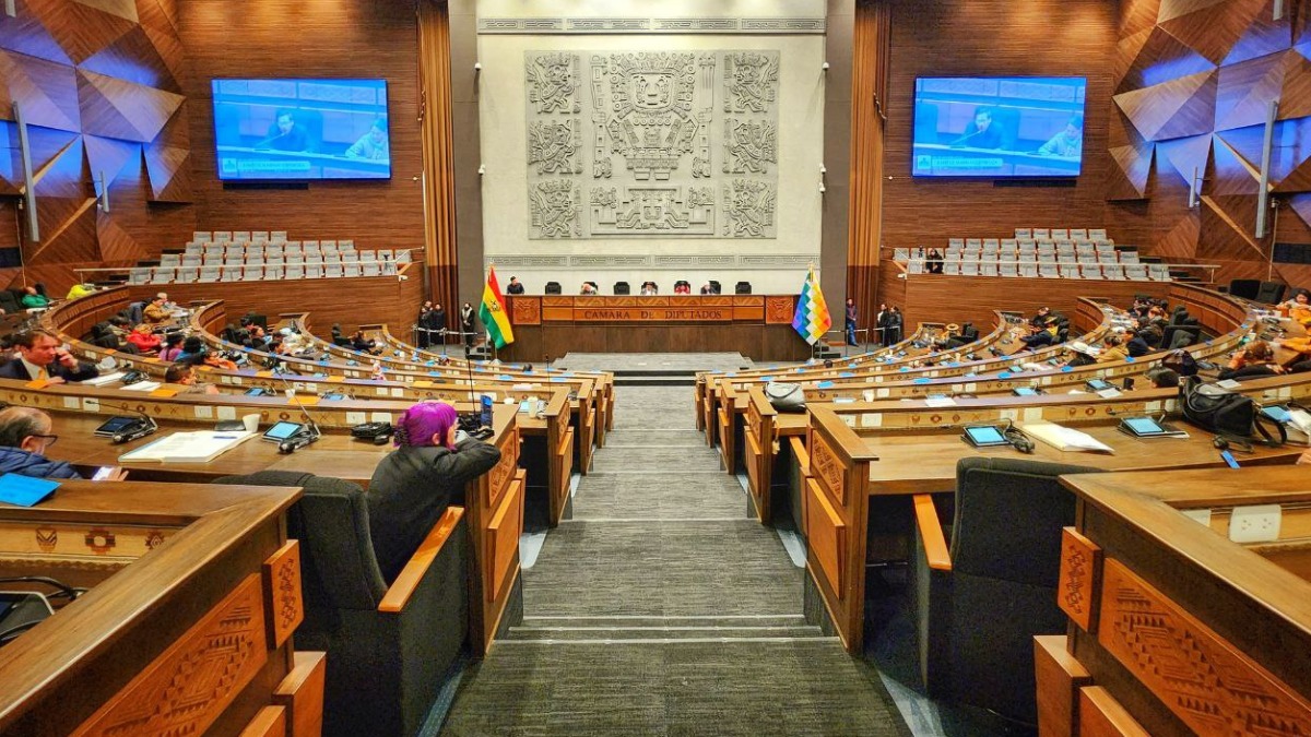 Foto: Prensa Cámara de Diputados