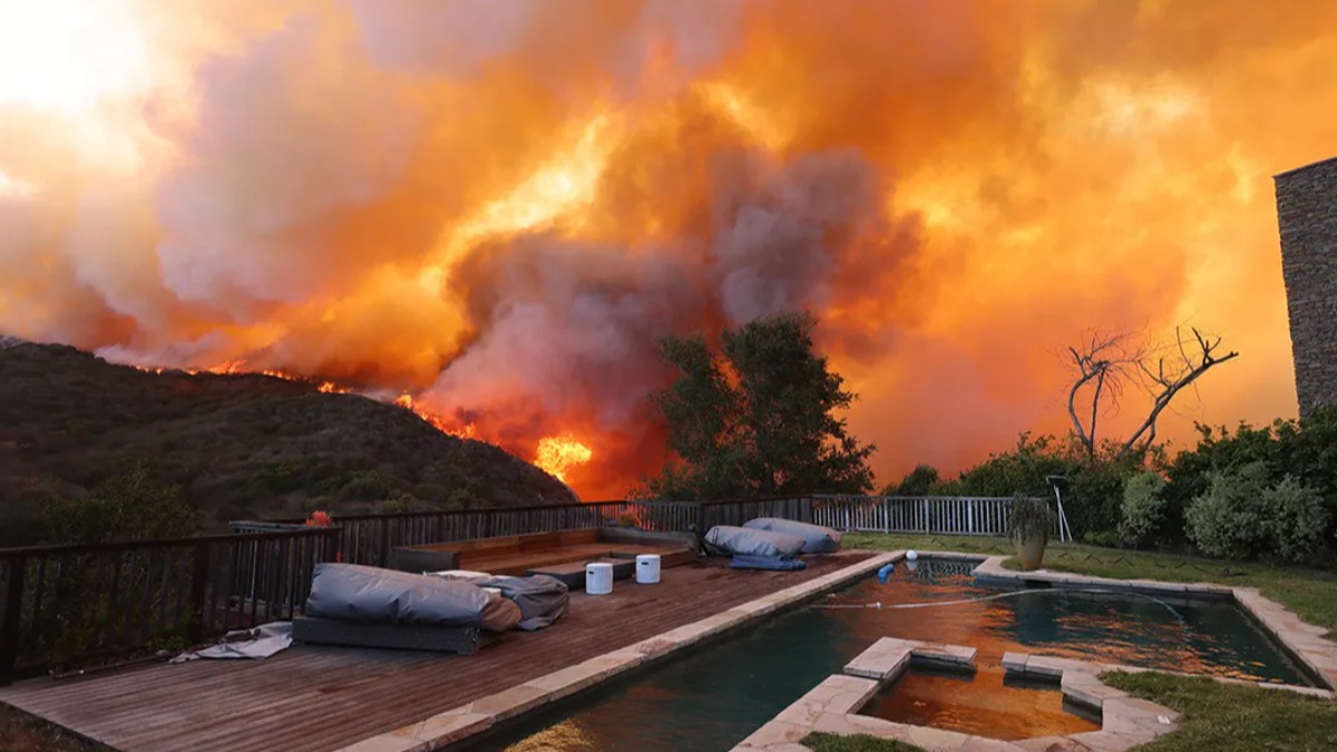 Los incendios han consumido grandes extensiones de bosque y áreas verdes.