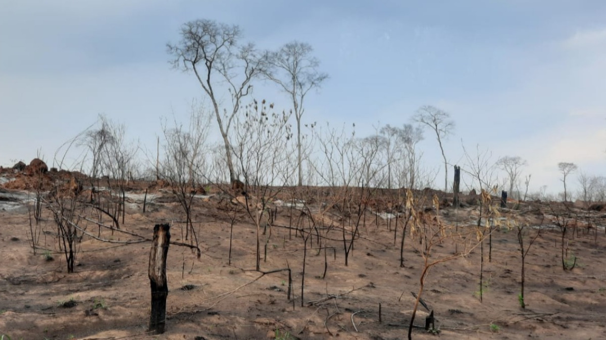 San Rafael tras los incendios. Foto: ANF