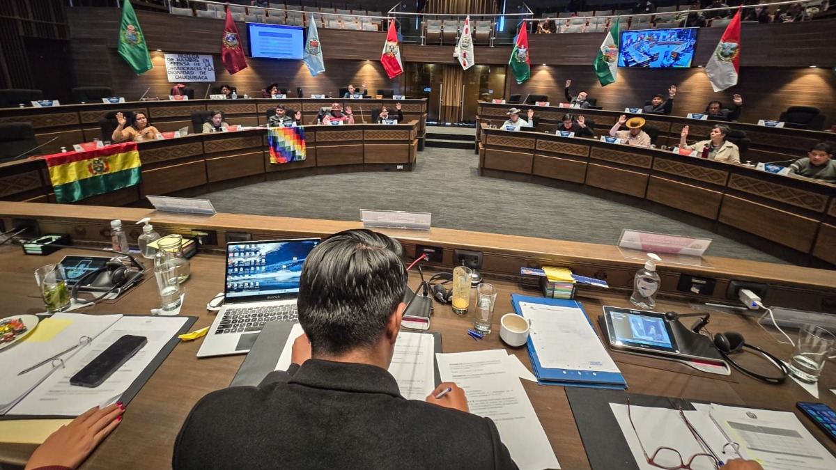 Senado sancionó la Ley de Distribución de Escaños entre Departamento. Foto: Senado.