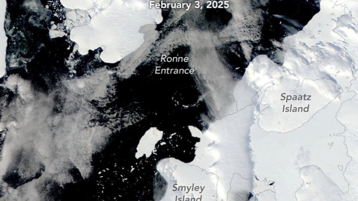 El iceberg A-84 en el centro de la imagen.  Foto: NASA EARTH OBSERVATORY