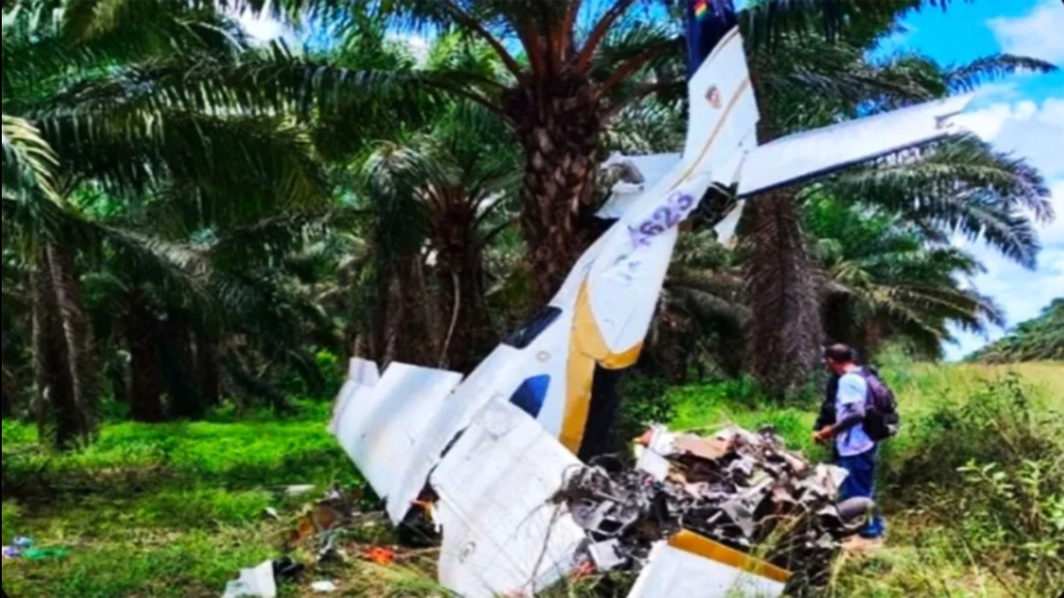 La avioneta conducida por dos bolivianos quedó colgado en un árbol. Foto: Internet