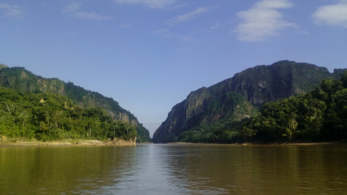 Parque Nacional y Área Natural de Manejo Integrado Madidi. Foto: Sernap