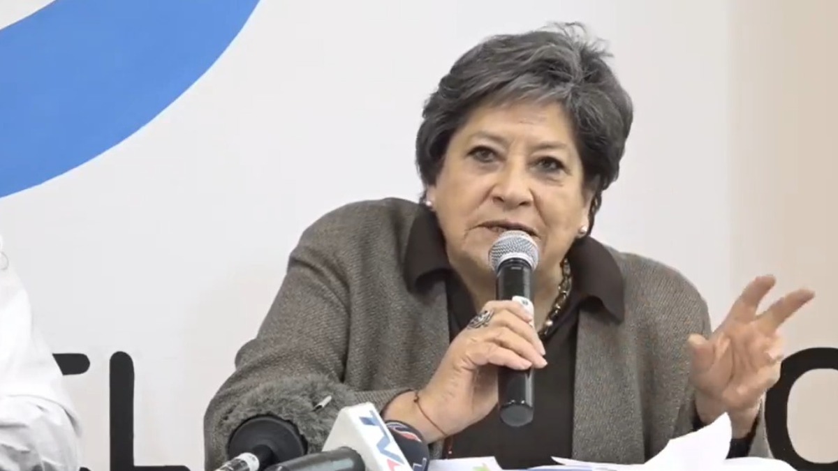 Directora del ITEI, Bolshia Bravo. Foto: captura de video