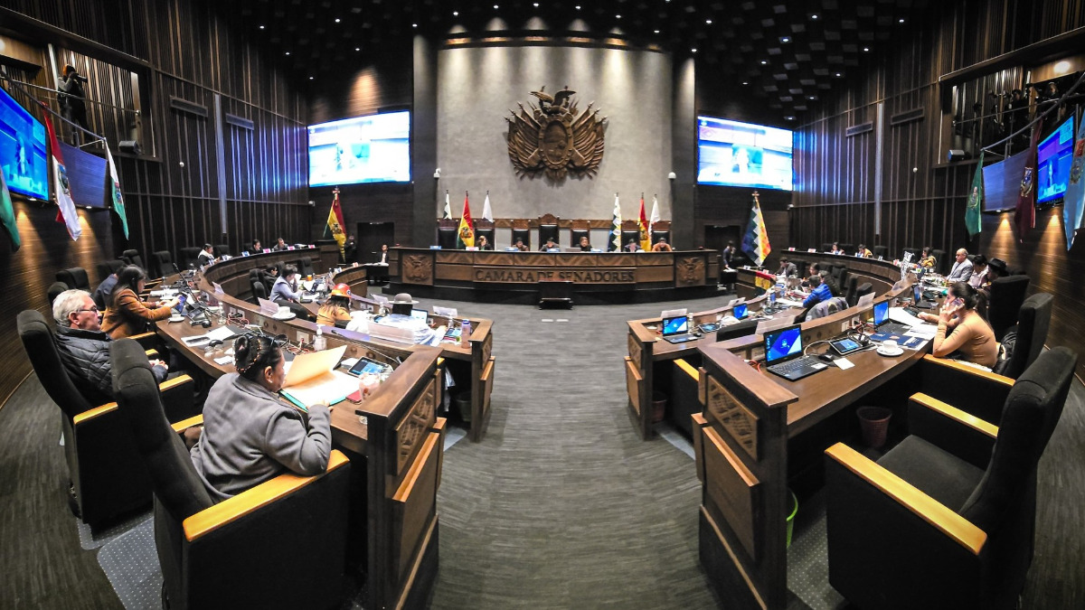 El Senado sancionó un crédito para atender emergencias. Foto: Senado